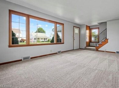 228 Creed St, Struthers, OH 44471 - photo 4