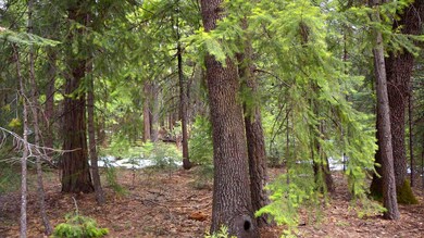 Wooded Acres