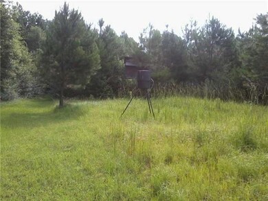 27692 Alphus Thomas Rd, Franklinton, LA 70438 - photo 3