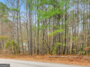 130 N Morgan Dr, Griffin, GA 30223 - photo 7