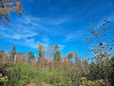 324 Crane Hill Rd, Sugar Hill, NH 03586 - photo 7