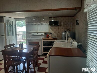 504 W Sylvester Ave, Christopher, IL 62822 - photo 4