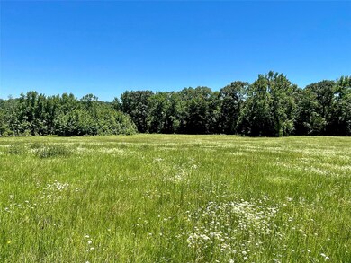 TBD Farm To Market Road 1567 unit Tract 3, Como, TX 75431 - photo 4