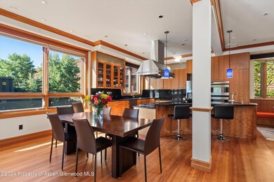 1085 Cemetery Ln unit A, Aspen, CO 81611 - photo 6