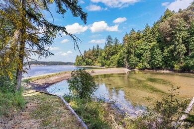 8615 Higgins Cove Rd, Anderson Island, WA 98303 - photo 2