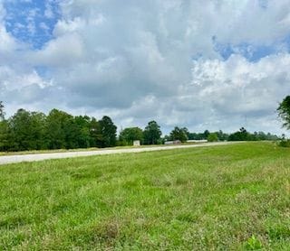 4773 Hi Truett Rd, Jasper, TX 75951 - photo 2