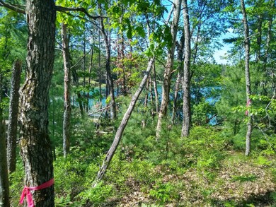 5890 S Townsend Circle pic3