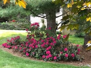 5554 Princeton Rd, Macungie, PA 18062 - photo 7