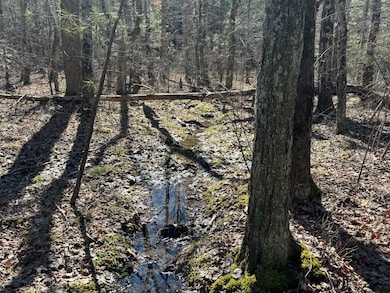 9 Tennessee 399, Dunlap, TN 37327 - photo 6