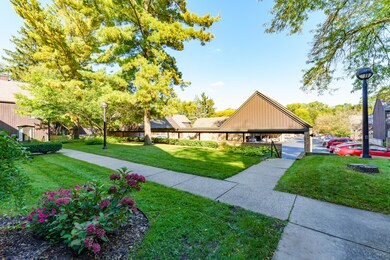 Durness_Ct_229_Kalamazoo_49006-33