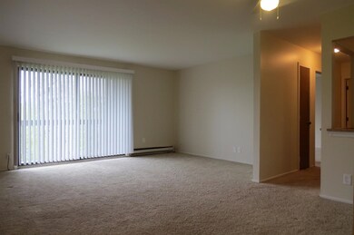 8137 Cedar Point Dr unit 118, Crown Point, IN 46307 - photo 6