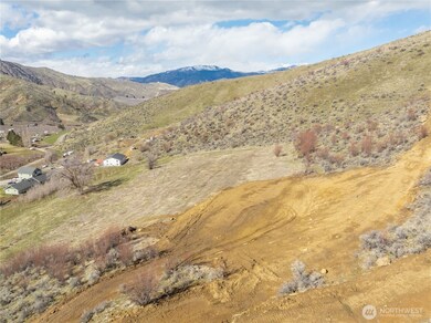 229 Juniper (Lot 2) Ln, Monitor, WA 98836 - photo 3