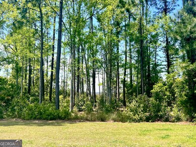 2190 Isles of Saint Marys Way, St. Marys, GA 31558 - photo 5