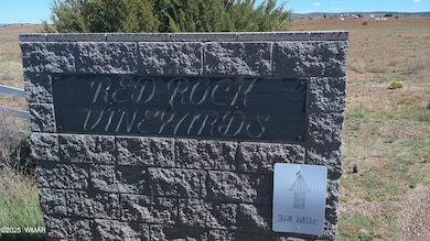 0 Concho Park Estates Unit 610, Concho, AZ 85924 - photo 4