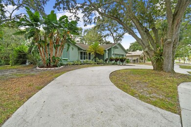 439 Lafayette Blvd, Oldsmar, FL 34677 - photo 4