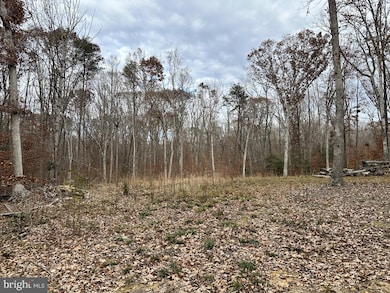 14409 Spotswood Furnace Rd, Fredericksburg, VA 22407 - photo 3