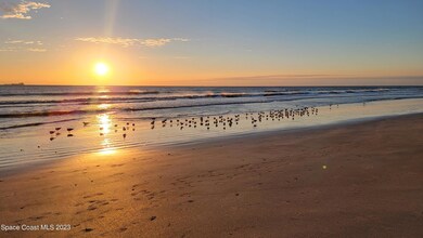 beach 8 2023