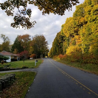 L 1 Laurel Rd, Covington Township, PA 18444 - photo 4