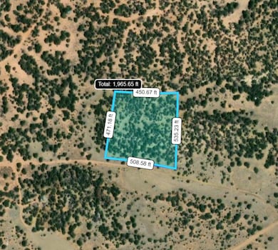 Davids Rock Rd, Pinehill, NM 87357 - photo 5