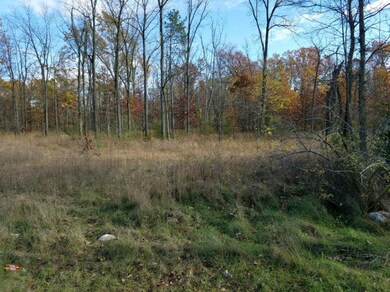 Lot 6 pic
