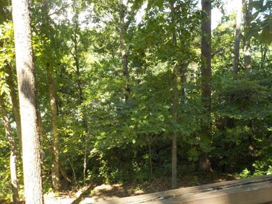 401 S Lake Dr, Burnside, KY 42519 - photo 5