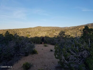 0 W Panorama unit 225005664, Llano, CA 93544 - photo 4