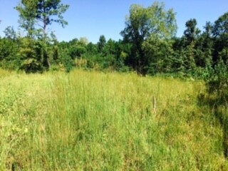 property marker on right side of picture