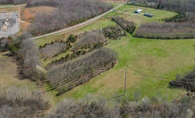 0 Will Hickerson Rd, Tullahoma, TN 37388 - photo 6