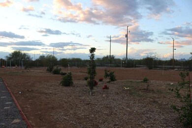 Front yard