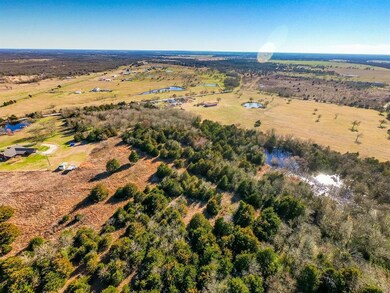 3114 County Road 1150, Corsicana, TX 75110 - photo 5