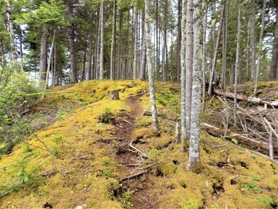 634 Duck Cove Rd, Roque Bluffs, ME 04654 - photo 6