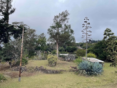 1575 Kamehameiki Rd unit 1, Kula, HI 96790 - photo 7