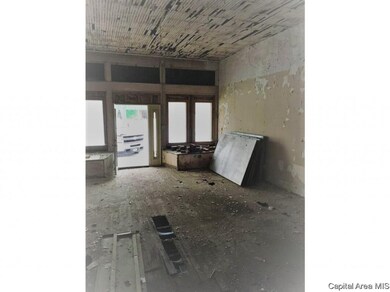 414 5th St, Illiopolis, IL 62539 - photo 2