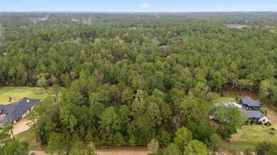 11348 Sunset Ave, Magnolia, TX 77354 - photo 4