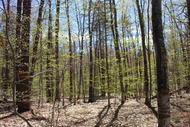 70 Evergreen Dr unit 18, New Hampton, NH 03256 - photo 3