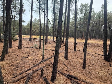 Lot 76 San Juan Dr, Angel Fire, NM 87710 - photo 3