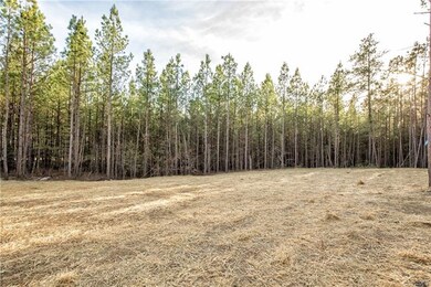 6170 Walnut Tree Dr, Powhatan, VA 23139 - photo 6