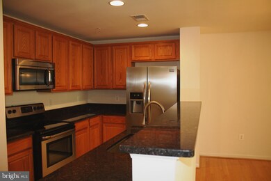 24768 Stone Station Terrace, Stone Ridge, VA 20105 - photo 2