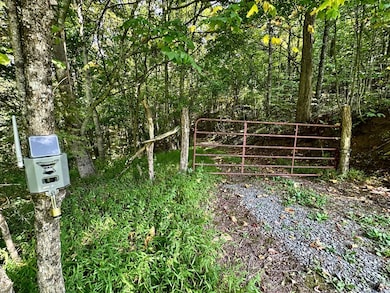 TBD Stoney Ridge Ln, Tazewell, VA 24605 - photo 6