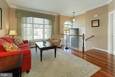 3641 Ransom Place, Alexandria, VA 22306 - photo 4