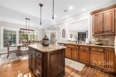 4601 Firethorn Ct, Denver, NC 28037 - photo 5