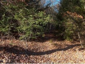 0 Old Westport Rd unit 4432711, Winchester, NH 03470 - photo 6