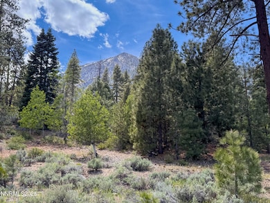 Nature's Edge Lot View