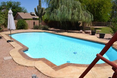 backyard2