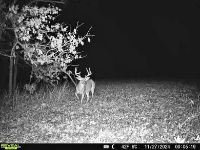 000 S Highway J, Stockton, MO 65785 - photo 4