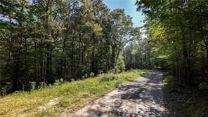 2 Arrow Trail, Waleska, GA 30183 - photo 2