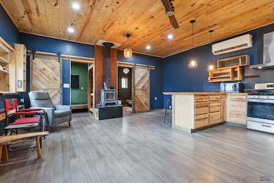 24427 Thovson Rd, Keystone, SD 57751 - photo 3