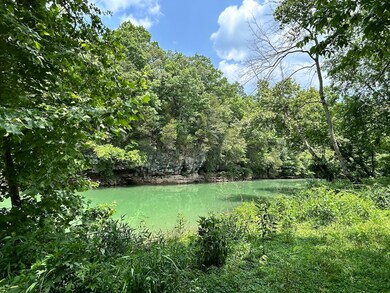 0 Anchor Bend Dr unit RTC2904354, Rock Island, TN 38581 - photo 6