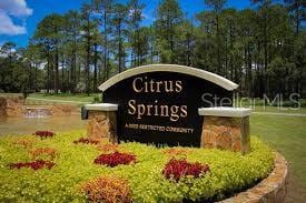 8545 N Wallingford Ave, Citrus Springs, FL 34434 - photo 3