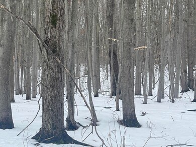IMG_1995